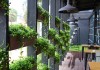 Eco,Architecture.,Green,Cafe,With,Hydroponic,Plants,On,The,Facade.