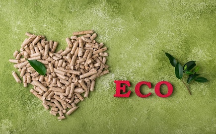 Eco fuel wooden pellets with firewood